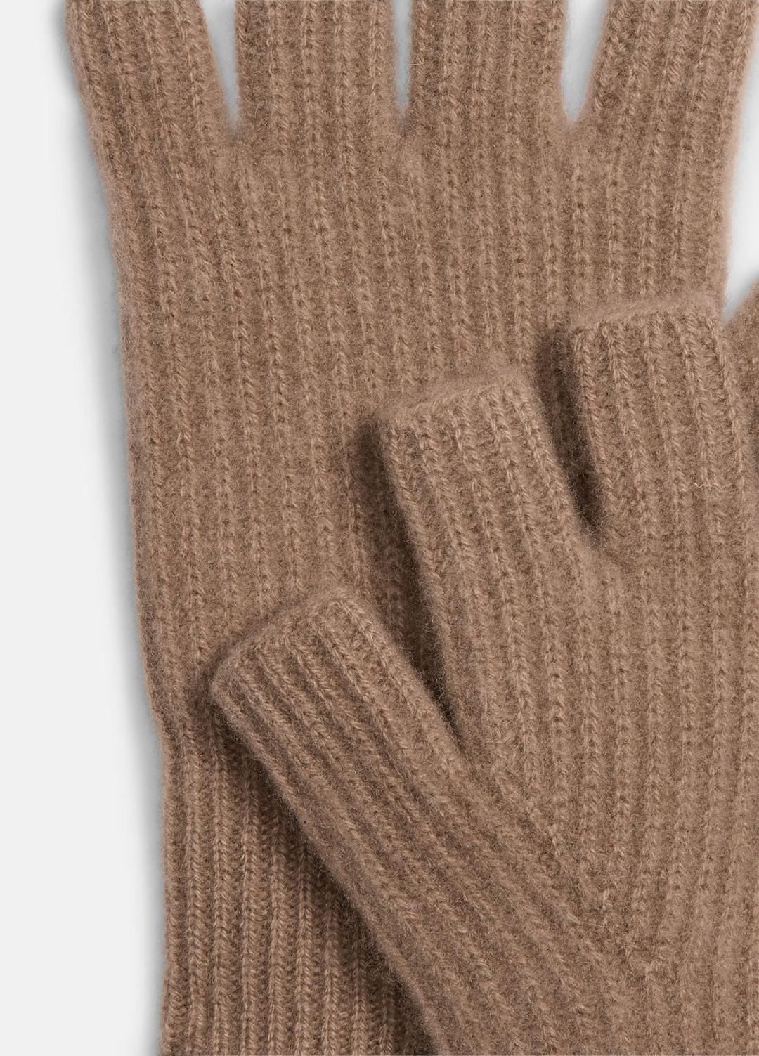 Plush Cashmere Rib-Knit Fingerless Glove in Gloves - BISCOTTI | VINCE Women