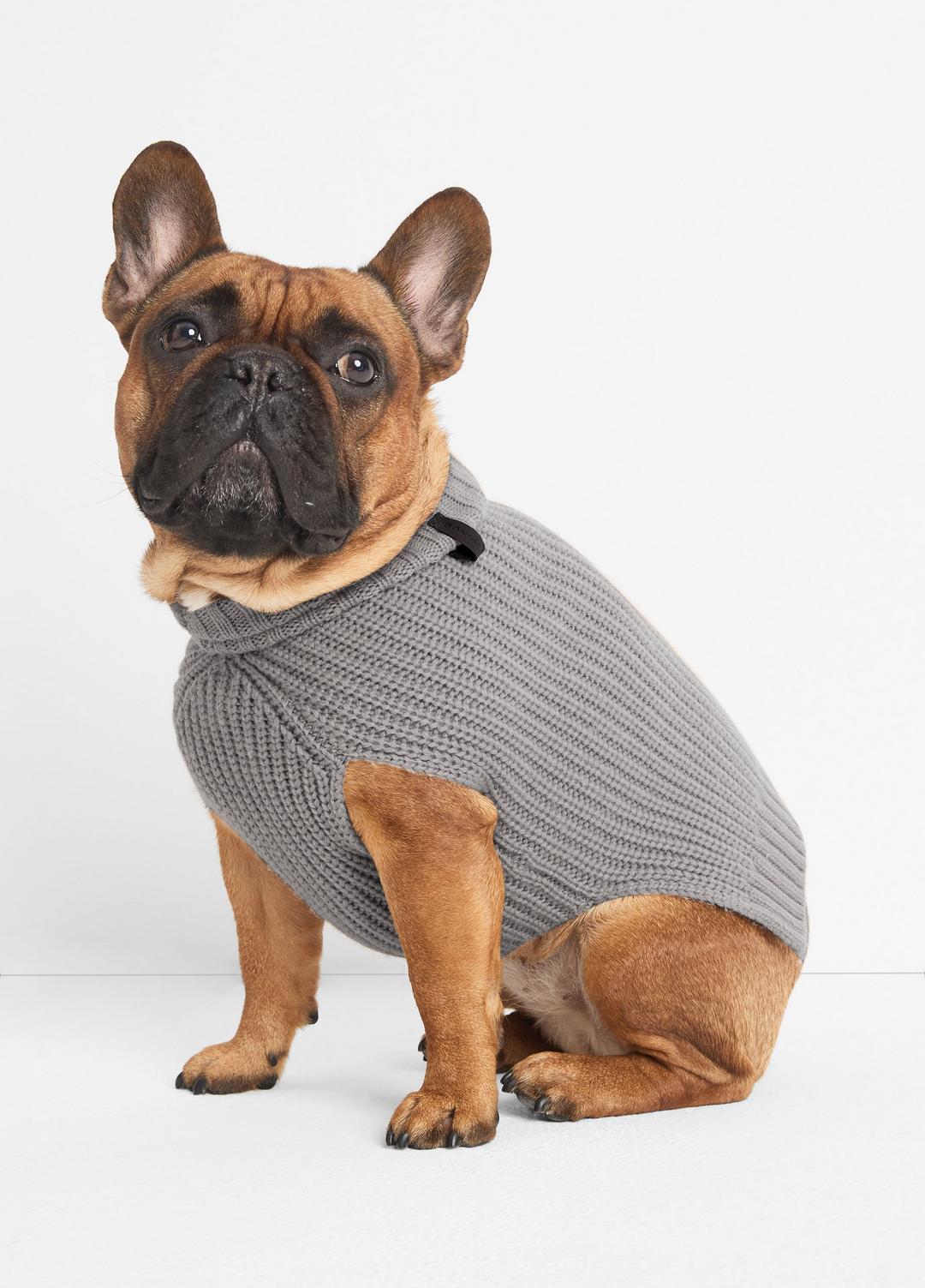 Wool and Cashmere Shaker-Stitch Dog Sweater in Dog Accessories - HEATHER GREY | VINCE Women