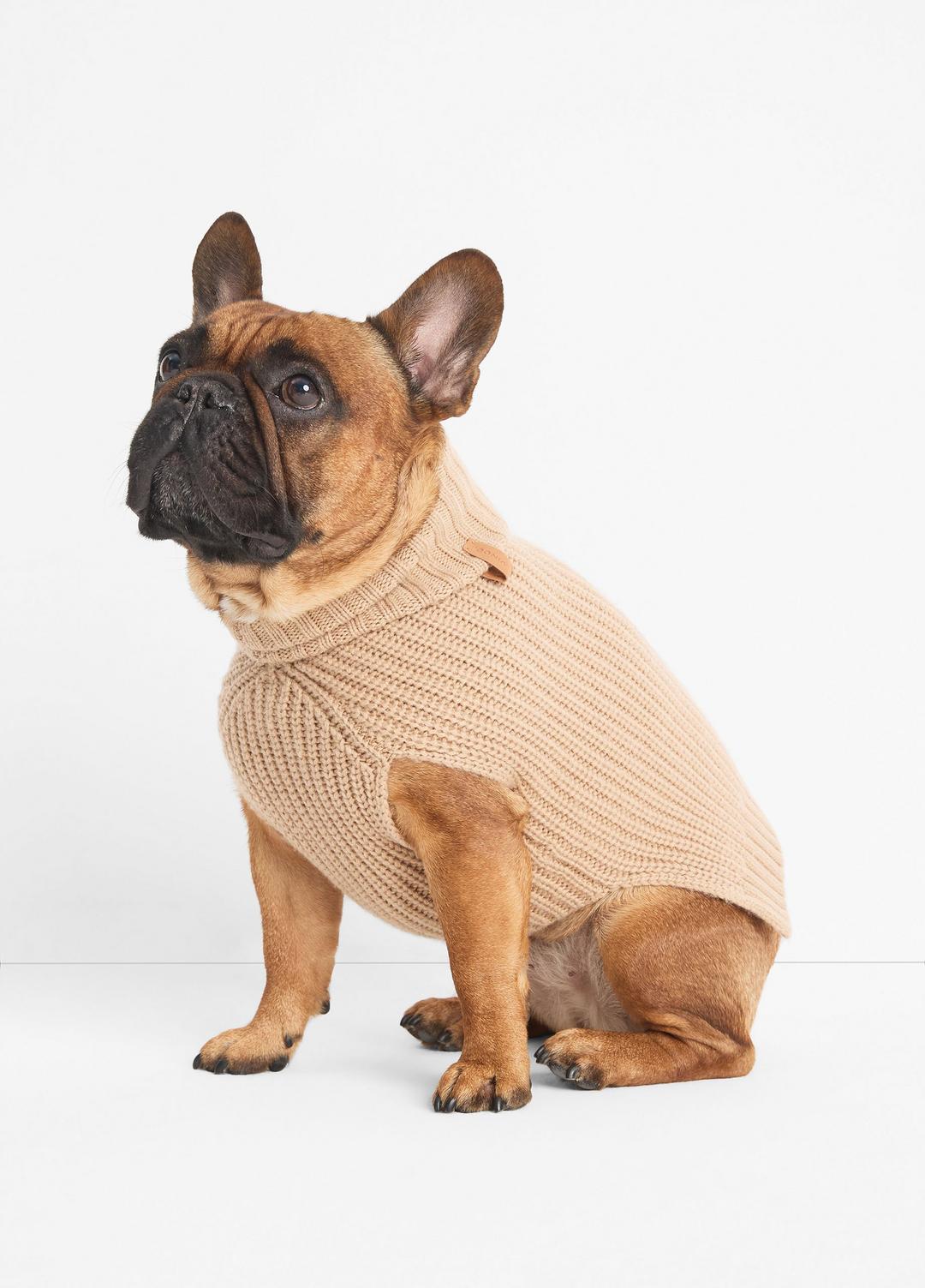 Wool and Cashmere Shaker-Stitch Dog Sweater in Dog Accessories - CAMEL | VINCE Women